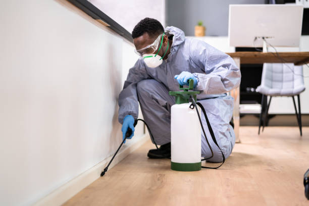 Best Real Estate Pest Inspections  in Haven, KS